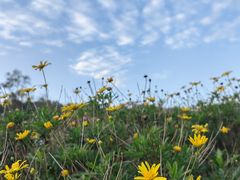 -唐崖土司城遗址