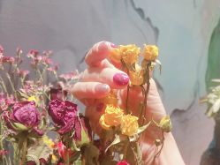 -娇玫荟SPA