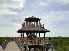 -北海金海湾红树林生态旅游区