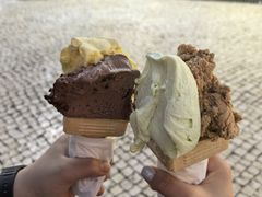 番石榴-柠檬车露(卖草地店)