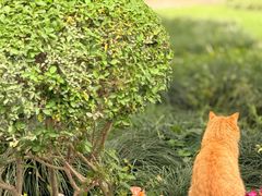 -浙江西子宾馆·牡丹厅