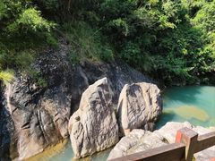 -广州白江湖森林公园