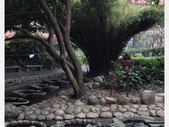 -成都市活水公园