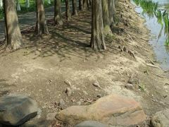 -柳鹭田园区