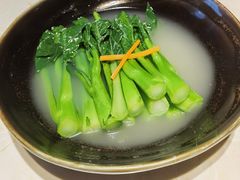 -点都德·毕德寮