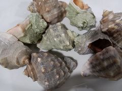 -源海渔村·现捞海鲜(大角湾店)