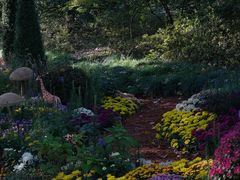 -上海共青森林公园