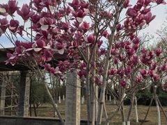 -永定河休闲森林公园