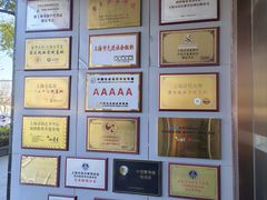 -小荧星艺校(浦东中环分校)