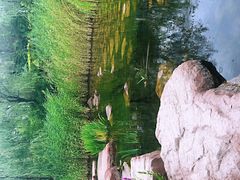 -小绿谷公园