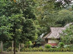 -中国科学院西双版纳热带植物园