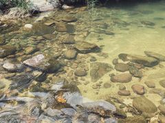 -海南热带雨林国家公园吊罗山景区