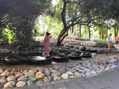 -成都市活水公园