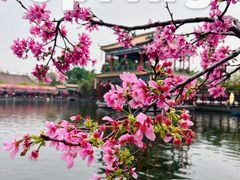 -宝墨园景区