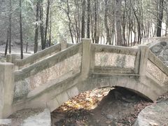 -北京鹫峰国家森林公园