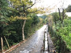 -梁野山景区