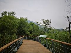 -西湖风景区-江洋畈生态公园
