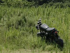 -平湖九龙山旅游度假区