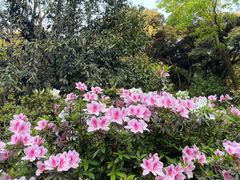 -山外山菜馆(玉泉路店)