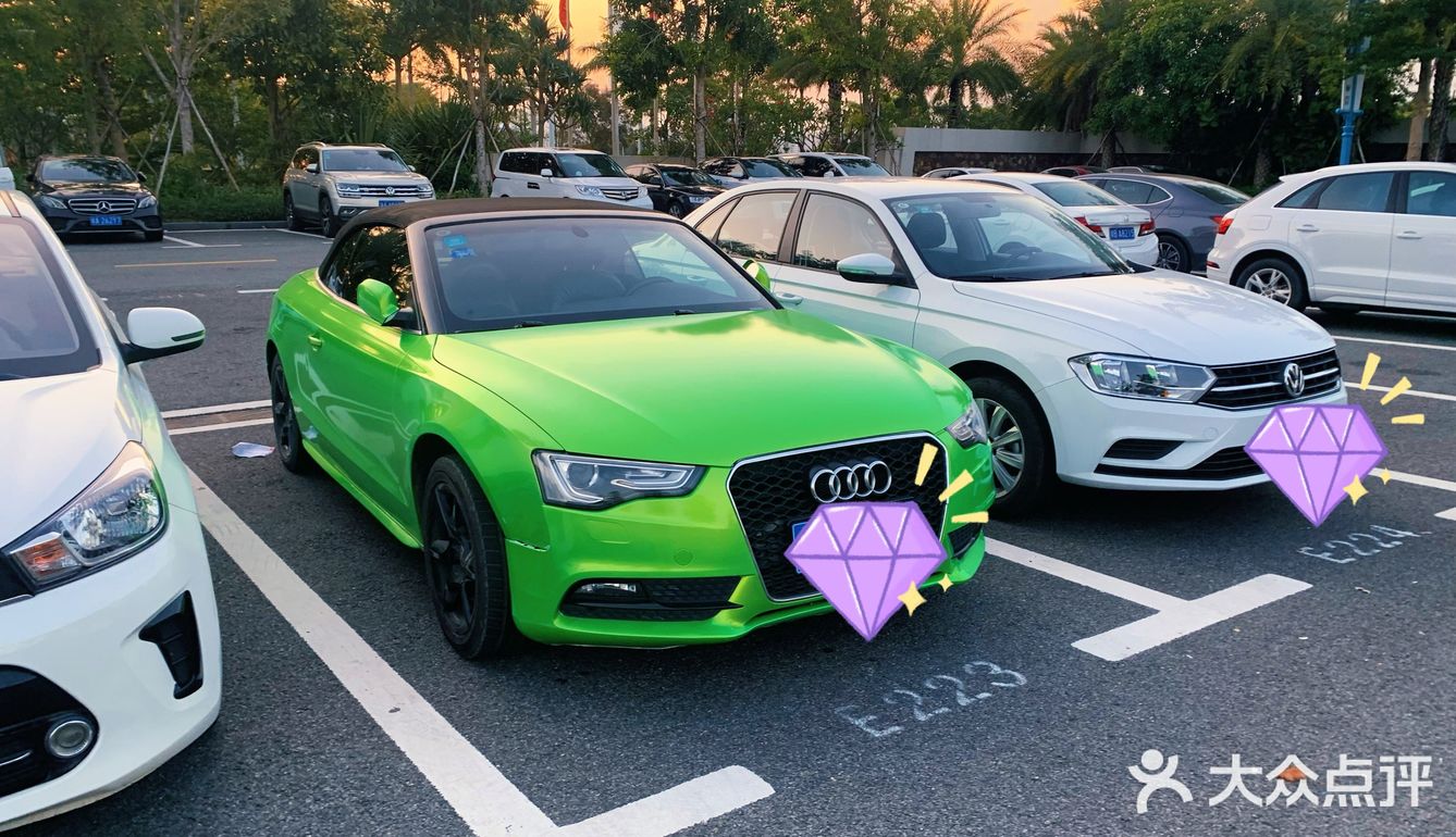 阿拉伯贵妇与金边大毒枭的爱情故事🤦🏻‍♀️