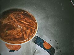 -COMPANION COFFEE小伴咖啡