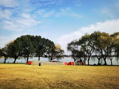-上海月湖雕塑公园