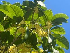 -共青国家森林公园-售票处