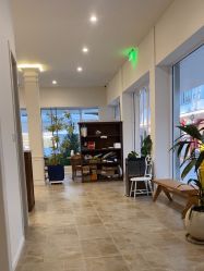 -WAVE SODA摄影工作室