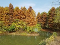 -梁鸿国家湿地公园