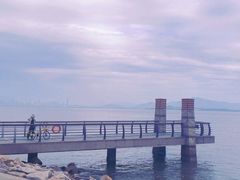 -深圳湾公园(南山区)