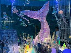 -海合安青岛极地海洋公园