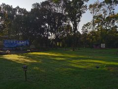 -天乐农家鱼头王(天目湖店)