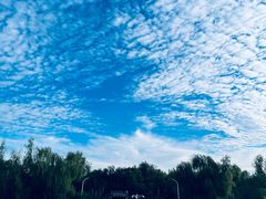 -塘沽森林公园