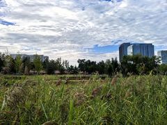 -西海子公园