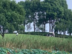 -苏州太湖国际会议中心