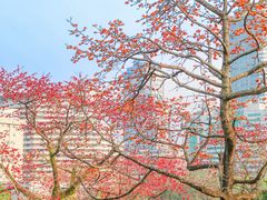 -广州中山纪念堂