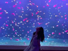 -南京金牛湖风景区