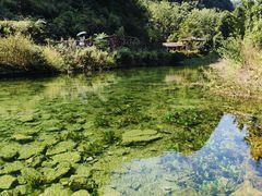-高荡千年布依古寨旅游景区