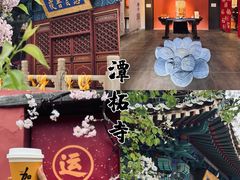 -潭柘寺景区