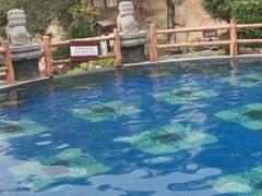 -汤峪温泉碧水湾