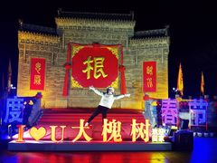 -大槐树寻根祭祖园