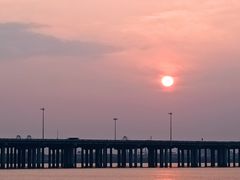 -宝安西湾红树林湿地公园