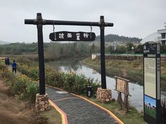 -金孔雀温泉旅游度假村
