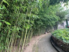 -戚继光故里