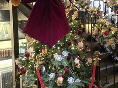 -LESCEDARS Brasserie Bistro香柏树