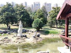 -堤角公园
