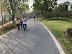 -昆山城市生态森林公园