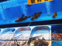 -苏格里岛自助海鲜烤肉(青秀万达店)