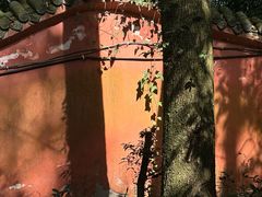 -凤栖山