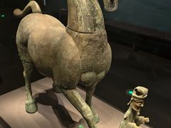 -广西壮族自治区博物馆